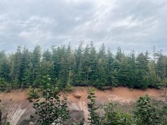 -峡谷浮石林景区