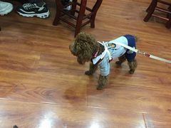 -港汕记广式牛奶甜品(包头店)