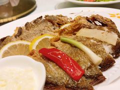 -骏莱海鲜鱼港(五角场店)