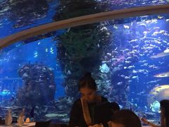 -迪拜帆船酒店海底餐厅