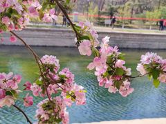 -元大都城垣遗址公园