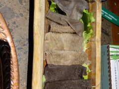 -竹海听涛生态山庄