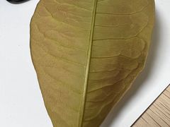 -大快活(丽丰店)