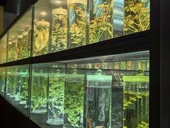 -广东中医药博物馆