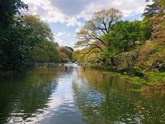 -井之头恩赐公园