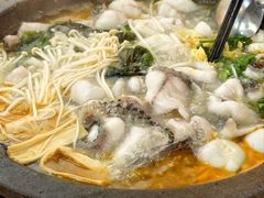 -大鼎石锅鱼(春江里店)