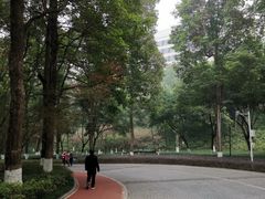 -龙头寺公园