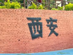 -西安汉城湖景区