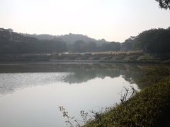 -东莞植物园