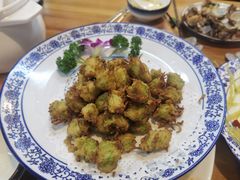 -食鸡公社辣子鸡·潍坊菜·烧烤