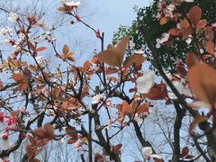 -新发现(苏州中心商场店)