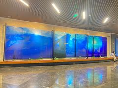 -万达影城IMAX(海口日月广场店)