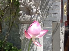 -永兴坊