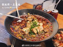 -靓蛙馆