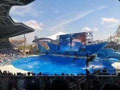 -上海海昌海洋公园