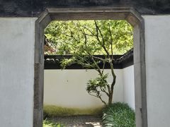 -秋霞圃