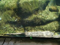 -珠海长隆海洋王国