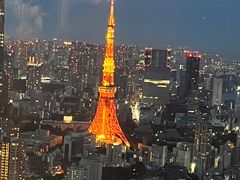 -六本木新城展望台(东京城市景观)