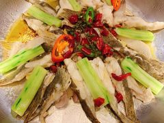 -新兴·金羊座·粤菜点心(乐峰店)