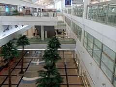 -厦门高崎国际机场-T3航站楼