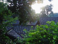 -杨家堂村