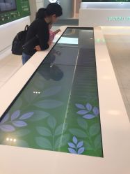 -安利上海体验馆