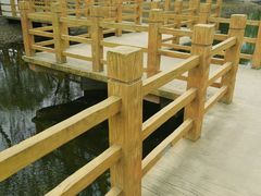 -东升八家郊野公园