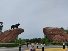 -黑瞎子岛探秘野熊园