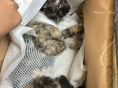 -宠颐生中康贝怡动物医院