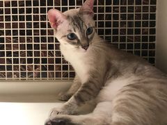 -Refn油画丨零基础定制油画