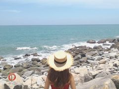 -广东惠东海龟国家级自然保护区