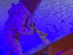 -宁波冰雪大世界(北仑区)