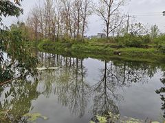 -苏记溪河鲢鱼庄(天府新区店)