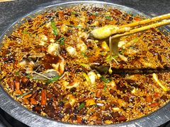 -胖子鱼·油泼甘谷辣子炝活鱼(秦州407店)