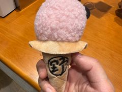 -野人先生现做冰淇淋(北京环宇荟店)