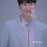 ｜小清新*室内拍摄｜✨星光夏日主题，全新发布