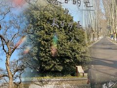 -灵谷景区