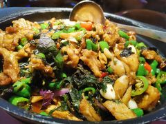 -蛙有道·铁锅牛蛙(万泰汇店)