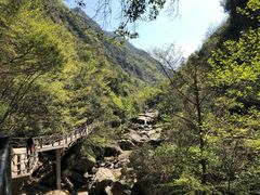 -藏龙百瀑风景区