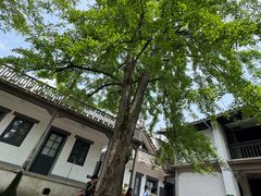 -蒋氏故居