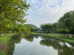 -长广溪湿地公园