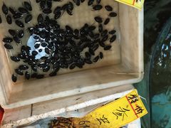-鸿达渔港