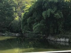 -青龙山国家森林公园
