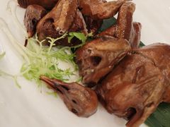 -新世纪大酒楼·30年南海菜