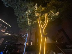 -麦落精酿啤酒餐吧(先农大院店)