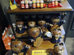 -猫咪博物馆(顶澳仔猫街店)