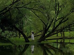 -上海共青森林公园