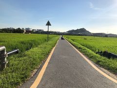 -光明小镇欢乐田园
