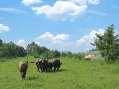 -迪卡侬(西华店)