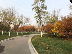-五环公园